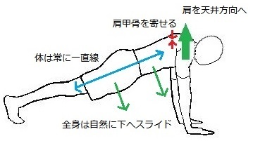 Serratus anterior.jpg
