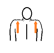 Shrug.png