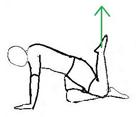 back-kick.jpg