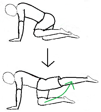 hip-extension.png
