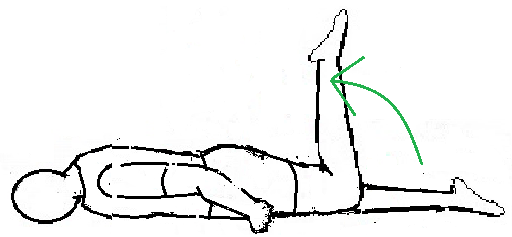 leg-curl.png