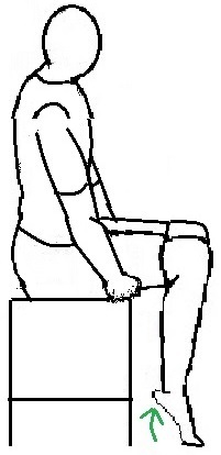 seated-calf-raise.jpg