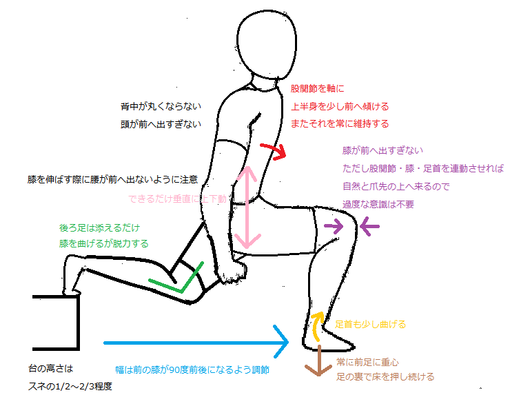 squat2.png
