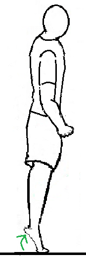standing-calf-raise.png