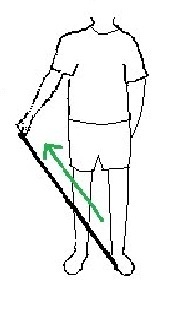 supraspinatus-muscle.jpg